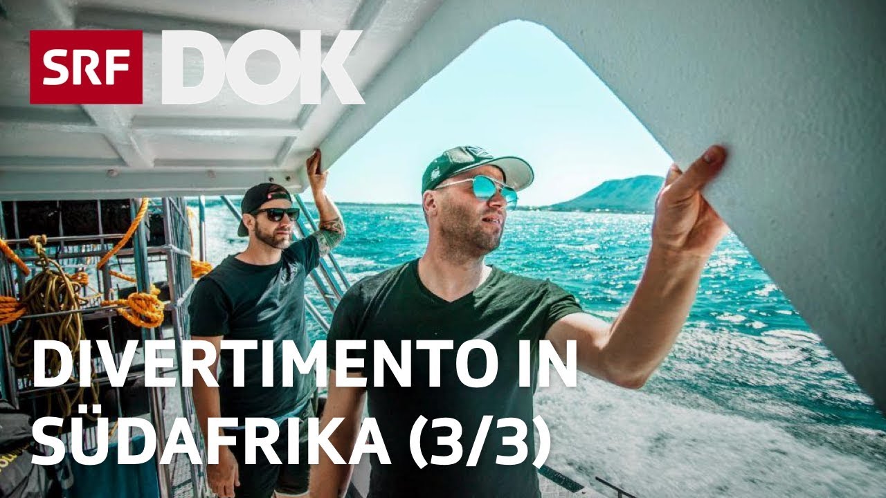 DivertiMento in Südafrika (3/3) | Von Kapstadt bis nach Johannesburg | Doku | SRF Dok