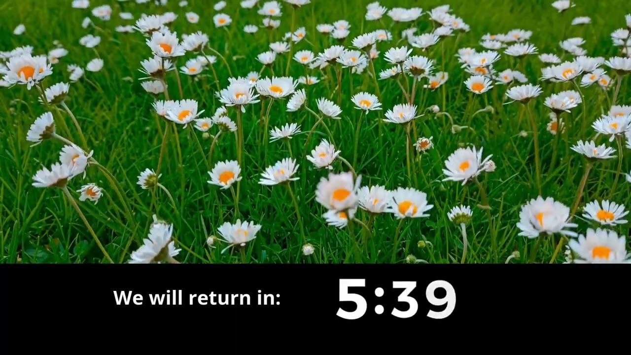 10 Minute Flower Field Timer (Calm Instrumental)