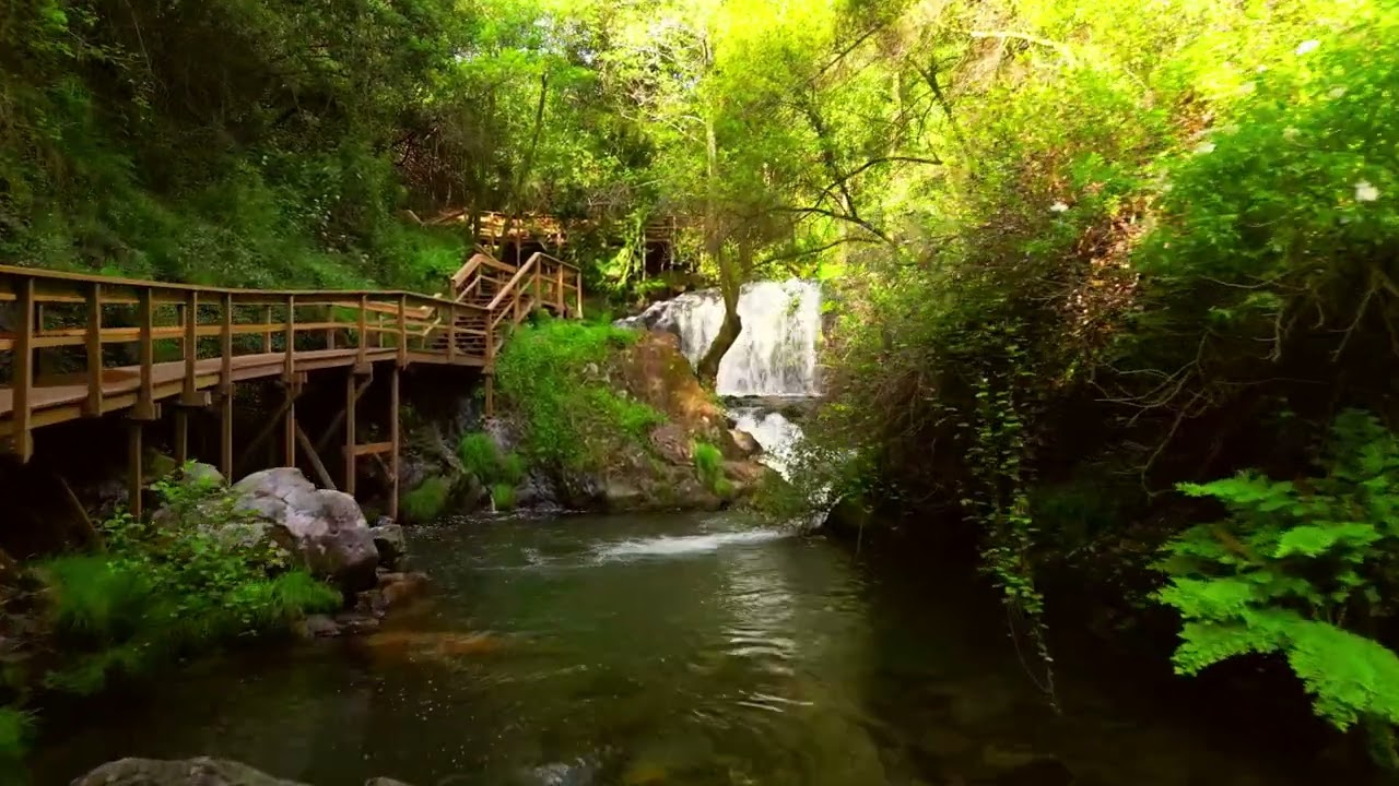 Passadiço de Pindelo | Oliveira de Azemeis | Natureza e Tranquilidade