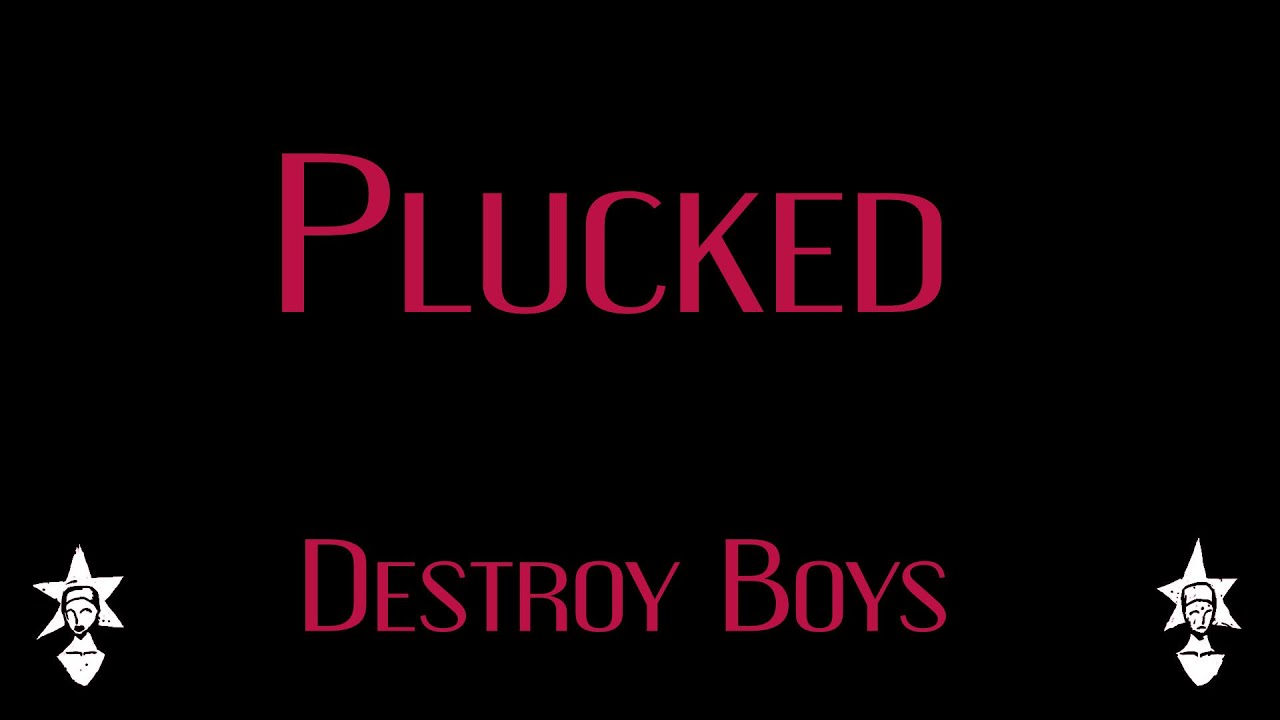 Destroy Boys - Plucked - Karaoke