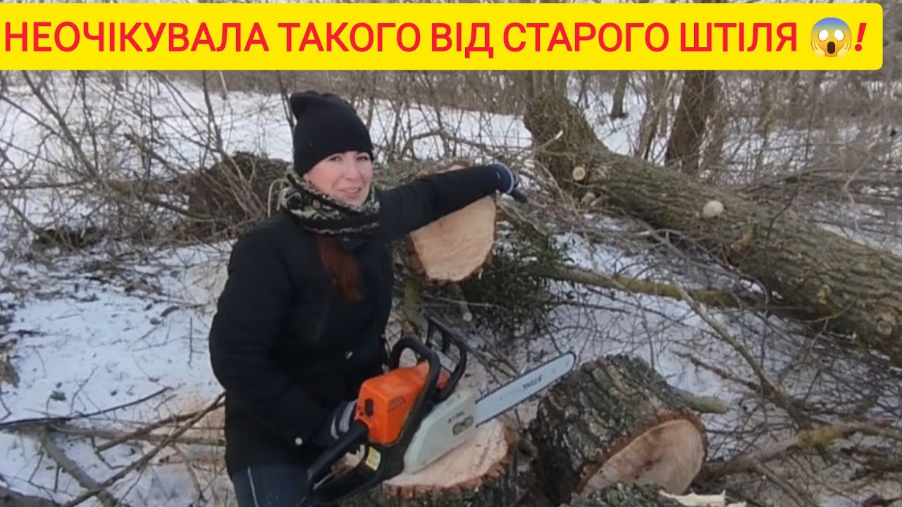 Легендарний STIHL MS180 через 11 років у роботі! Розпилюю величезну вербу 🪚