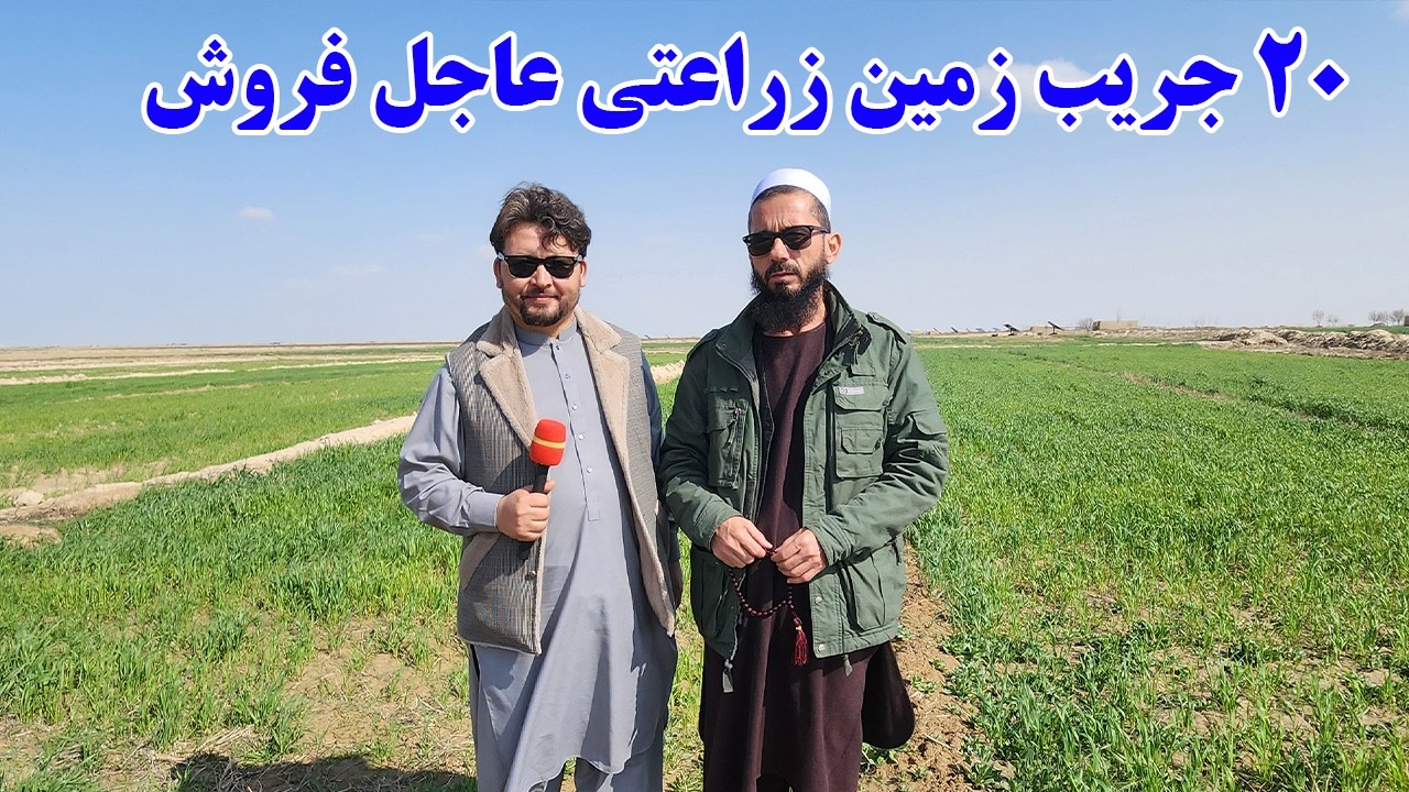 گزارش افغان تاپ:20 جریب زمین زراعتی عاجل فروش،قباله شرعی،آب جوی ،قیمت مناسبafghan top
