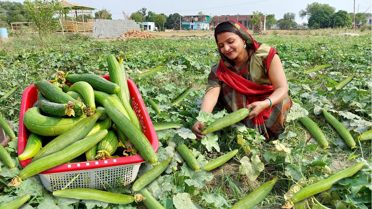 😋एक बार ऐसे बनाकर देखिये 🥒नेनुआ की सब्जी मूंग दाल के साथ लोग उंगलियां चाटते रह जायेंगे Tori Ki Sabji