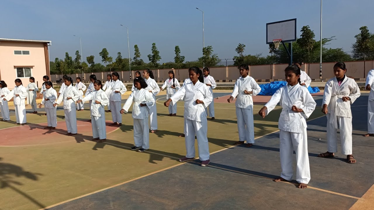 #karate#MMDRS 🇮🇳