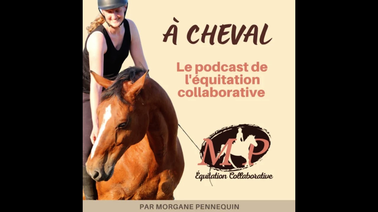 161. Comment faire quand ton cheval appuie sur tes boutons