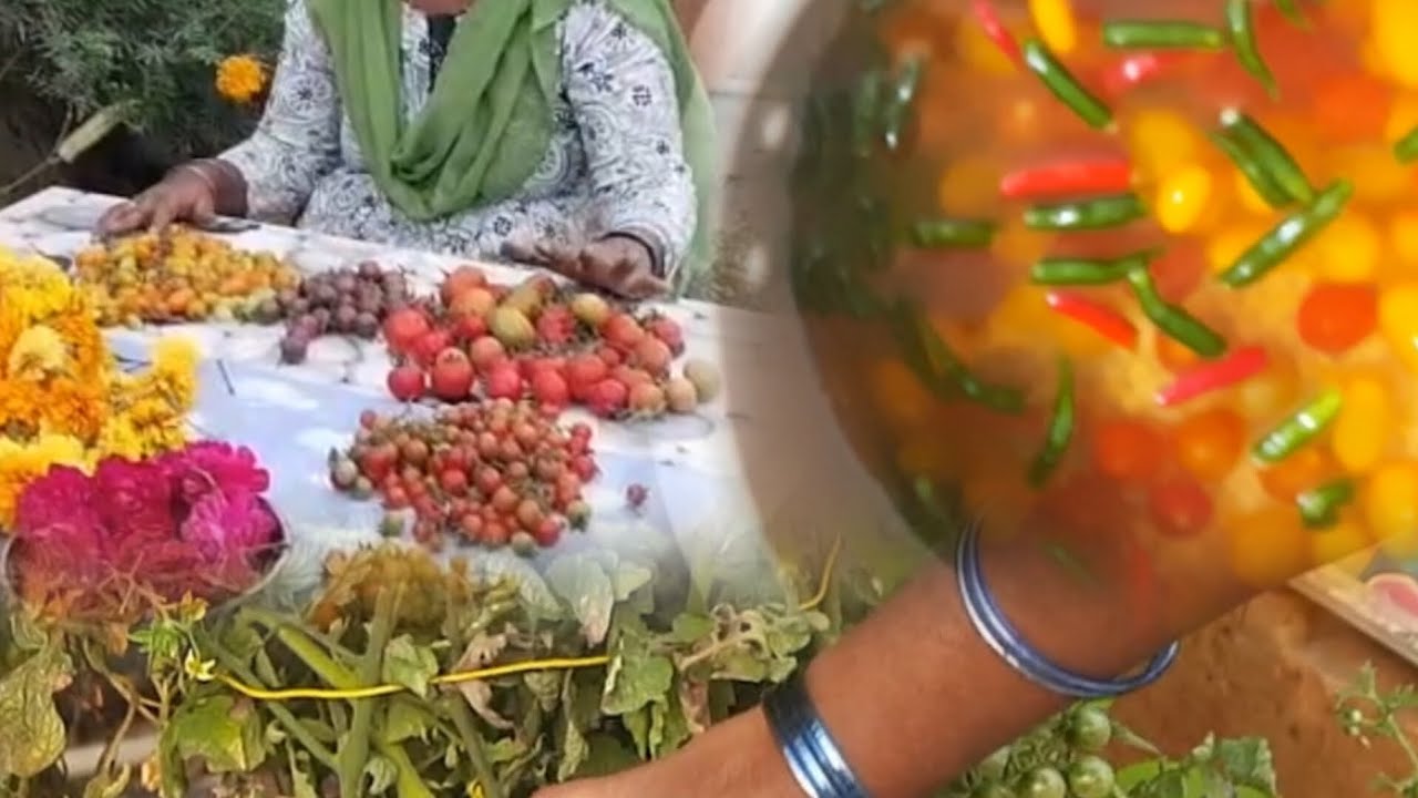 Mana terrace Garden lo nennu harvest chesina boldani verity tomatoes#harvest#garden
