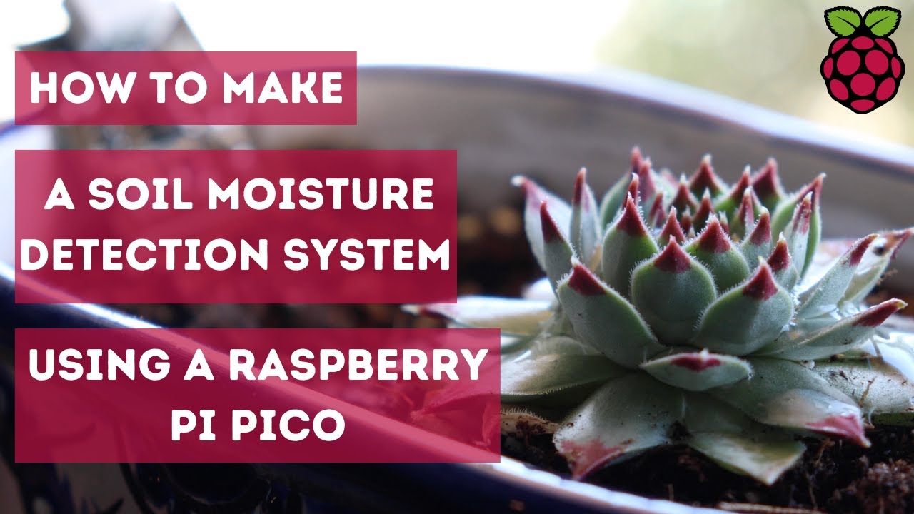 DIY Soil Moisture Detection System with Raspberry Pi Pico