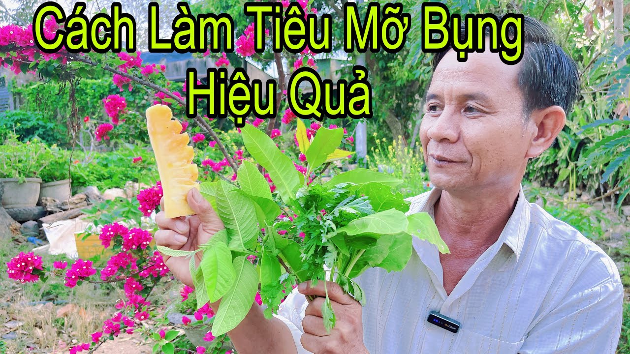 Bài Thuốc Tan Mỡ Bụng Và Giảm Cân Rất Hay Không Tốn Kém