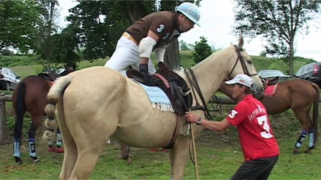 Lovaspóló 2015 Tabajd