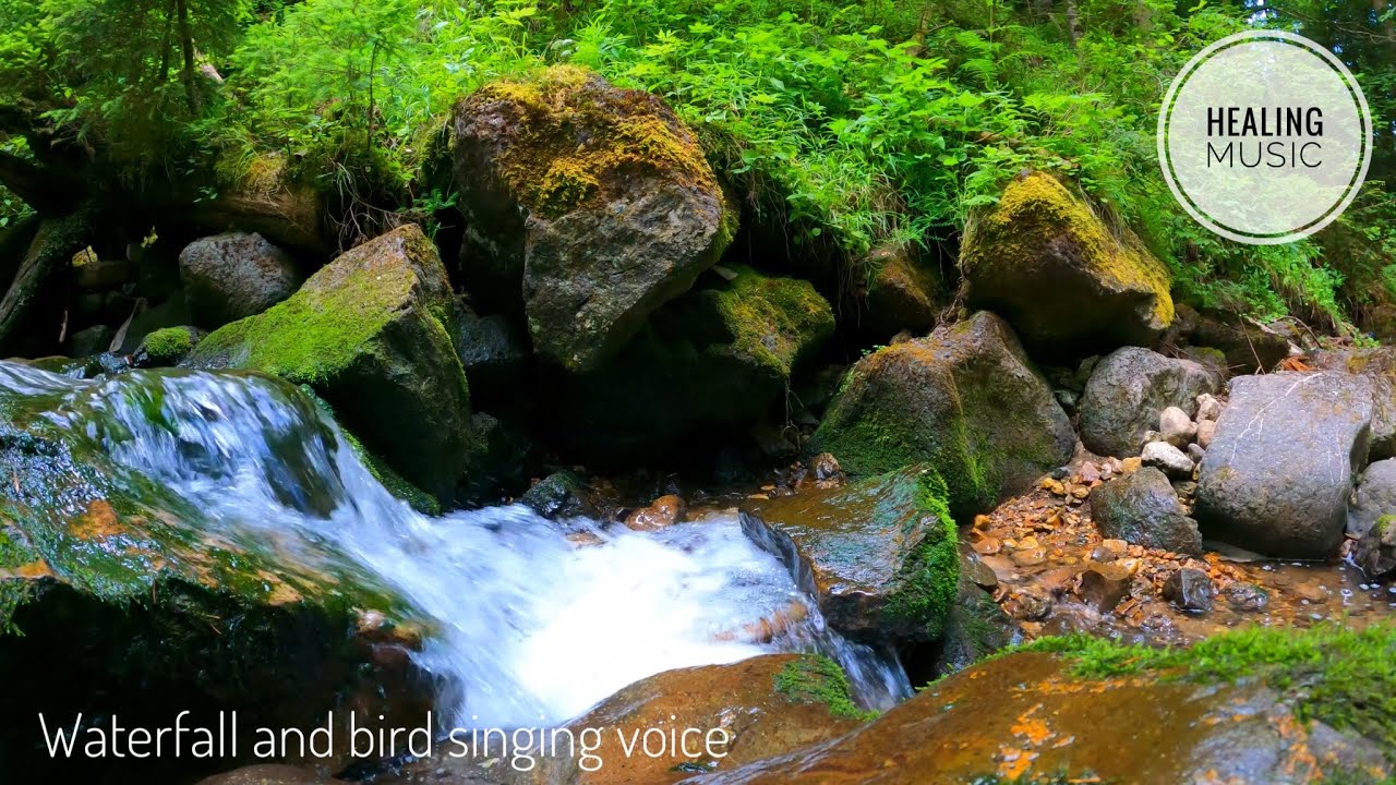 【 healing】Natural music