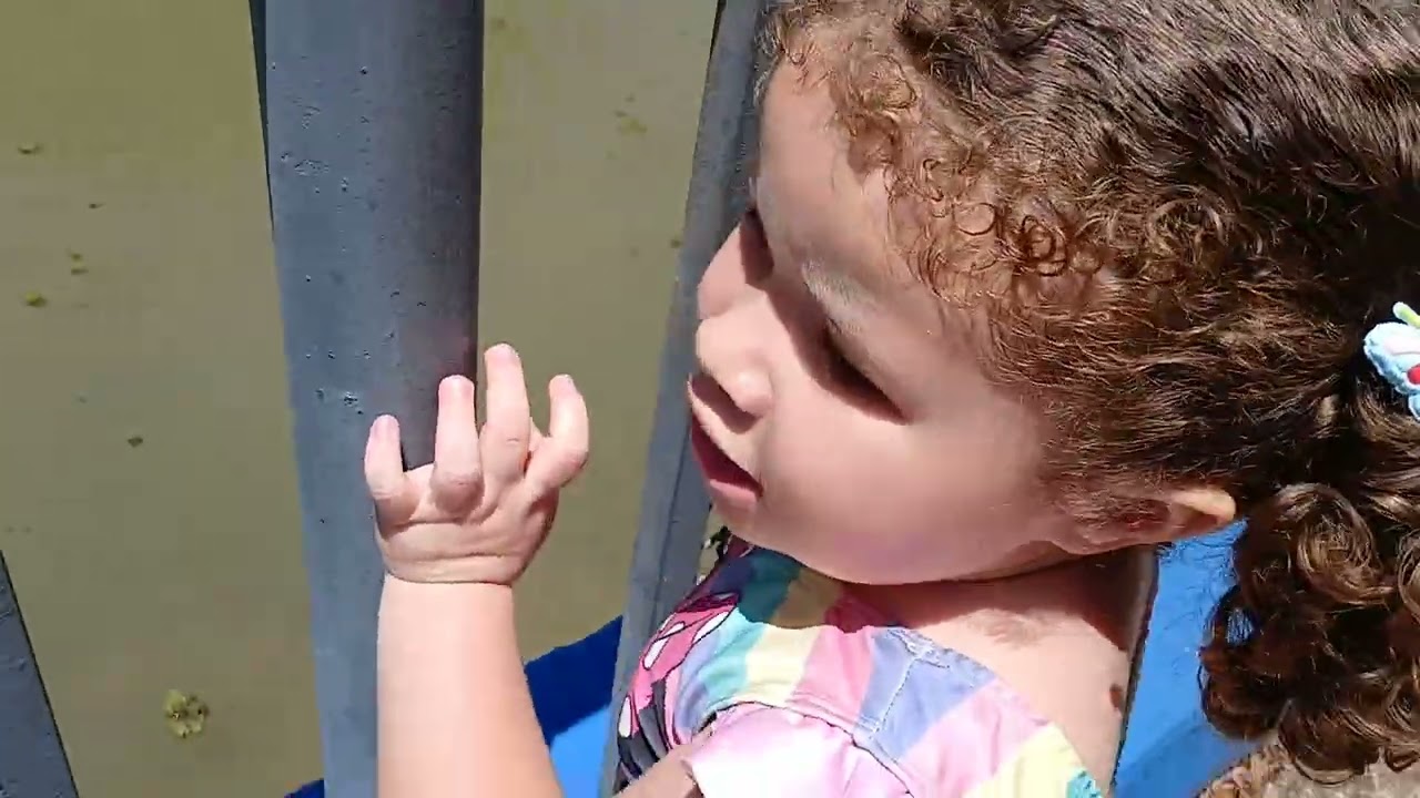 Tartaruga da Rebeca 