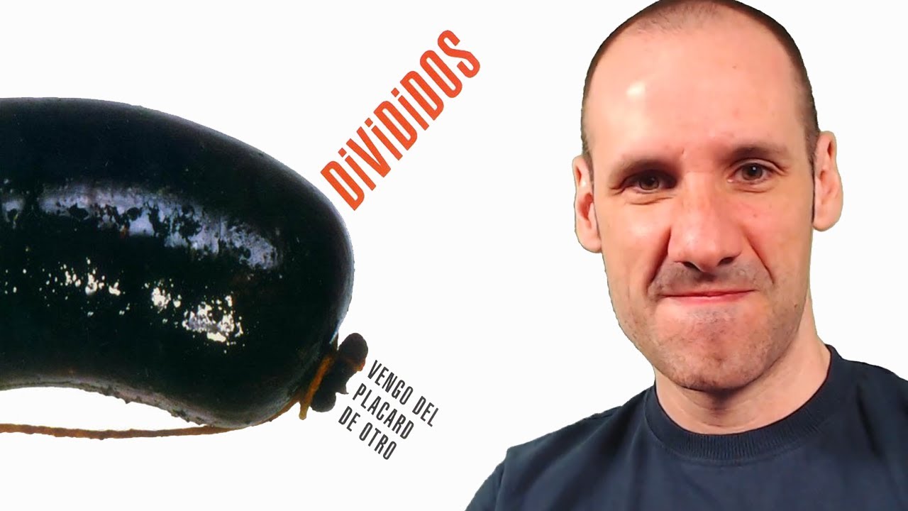 💥 Reacción!! | 🎼 DIVIDIDOS | VENGO del PLACARD de OTRO
