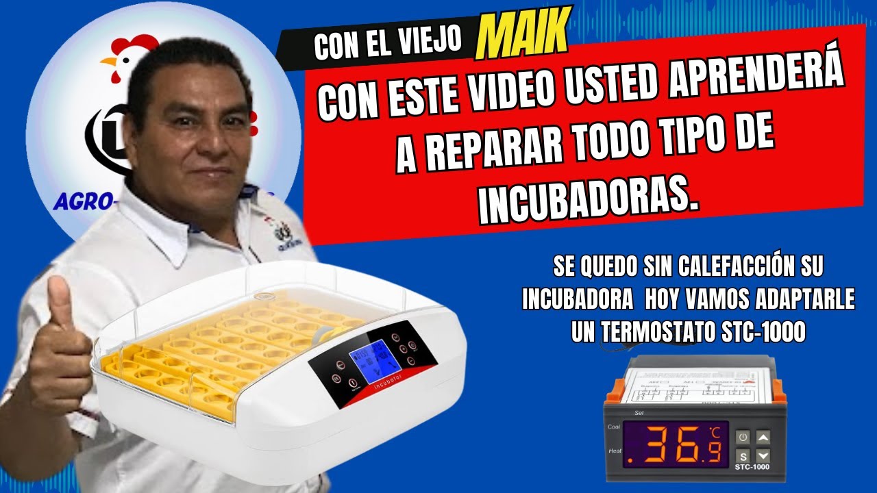 COMO REPARAR INCUBADORA CUANDO SE QUEDA SIN CALEFACCIÓN Y COMO CONFIGURAR TERMOSTATO STC 1000