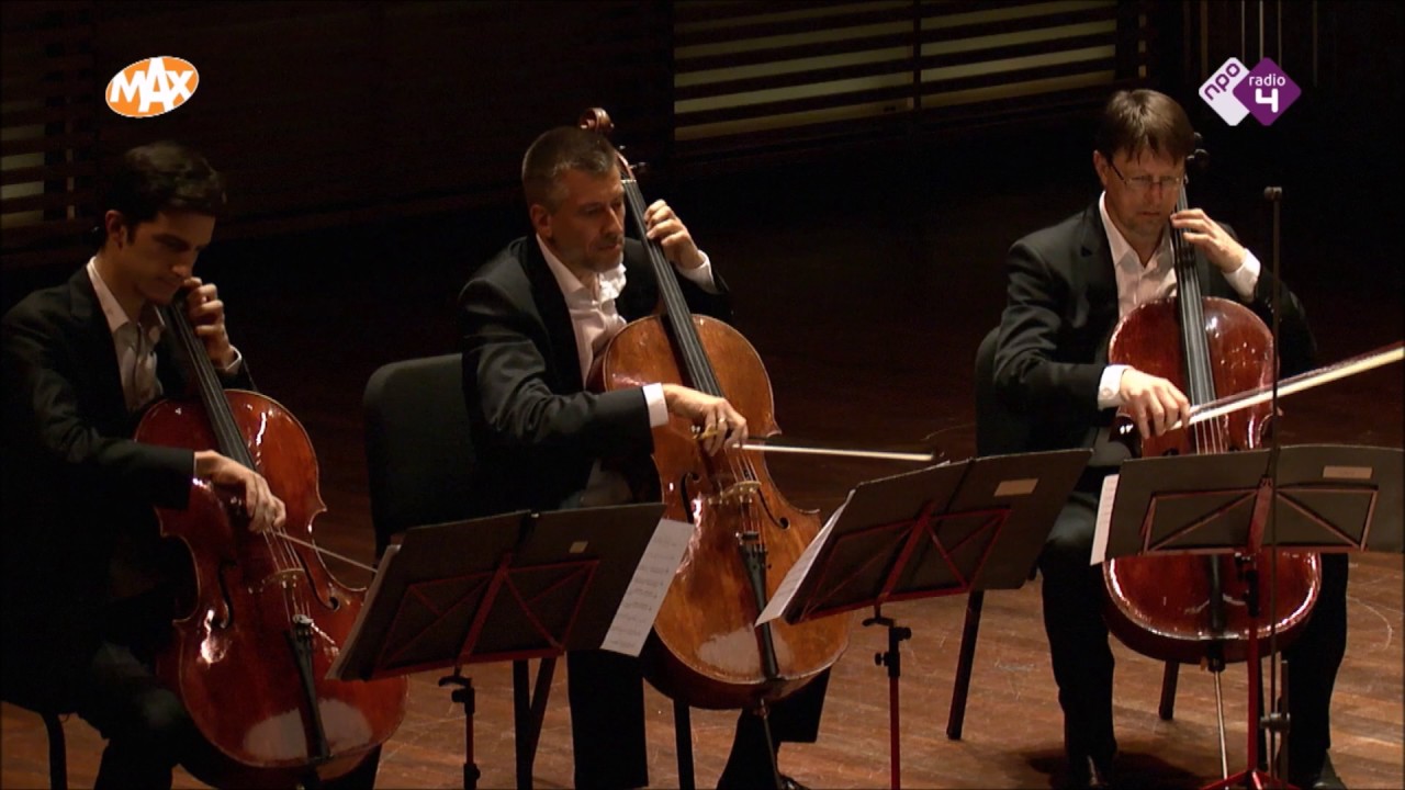 2nd movement Whatever lies ahead - Live hack (Die 12 Cellisten der Berliner Philharmoniker)
