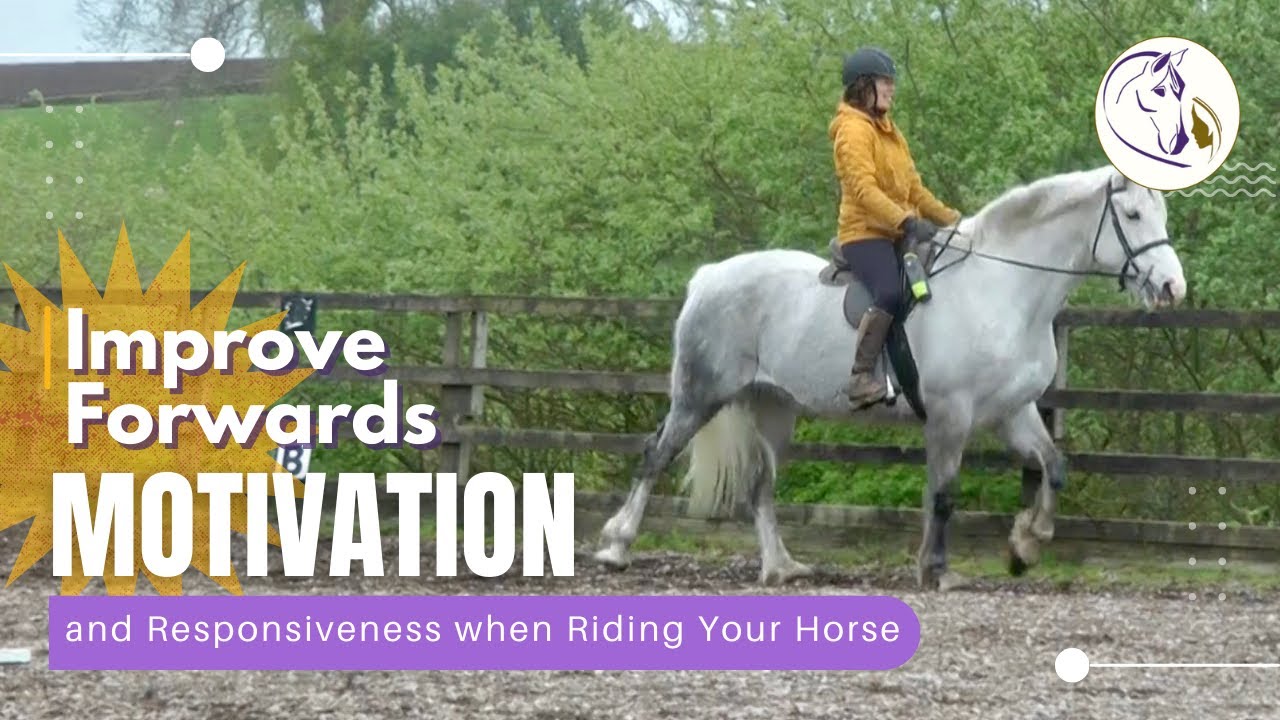 How to Improve Forwards Motivation and Responsiveness when Riding Your Horse