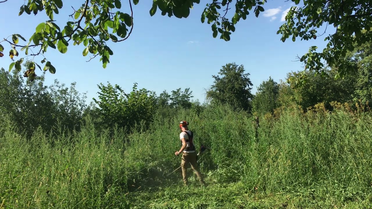 Stihl fs 260 c hard test 🔴