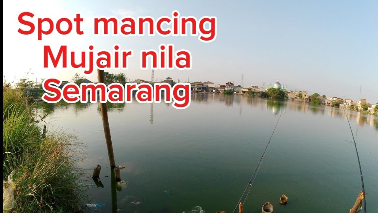 RUTE SPOT MANCING MUJAIR NILA DITAMBAK TENGGANG SEMARANG