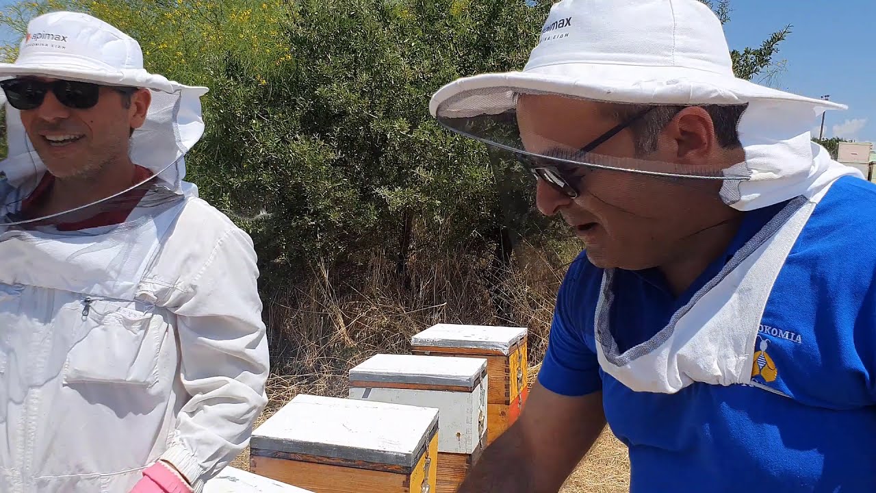 ΤΑ ΜΥΣΤΙΚΑ ΤΗΣ ΜΕΛΙΣΣΟΚΟΜΙΑΣ: ΓΙΑΤΙ ΠΡΕΠΕΙ ΝΑ ΒΑΖΩ 9 ΤΕΛΑΡΑ ΑΝΤΙ ΓΙΑ 10 ΣΤΟ ΜΕΛΙΣΣΙ