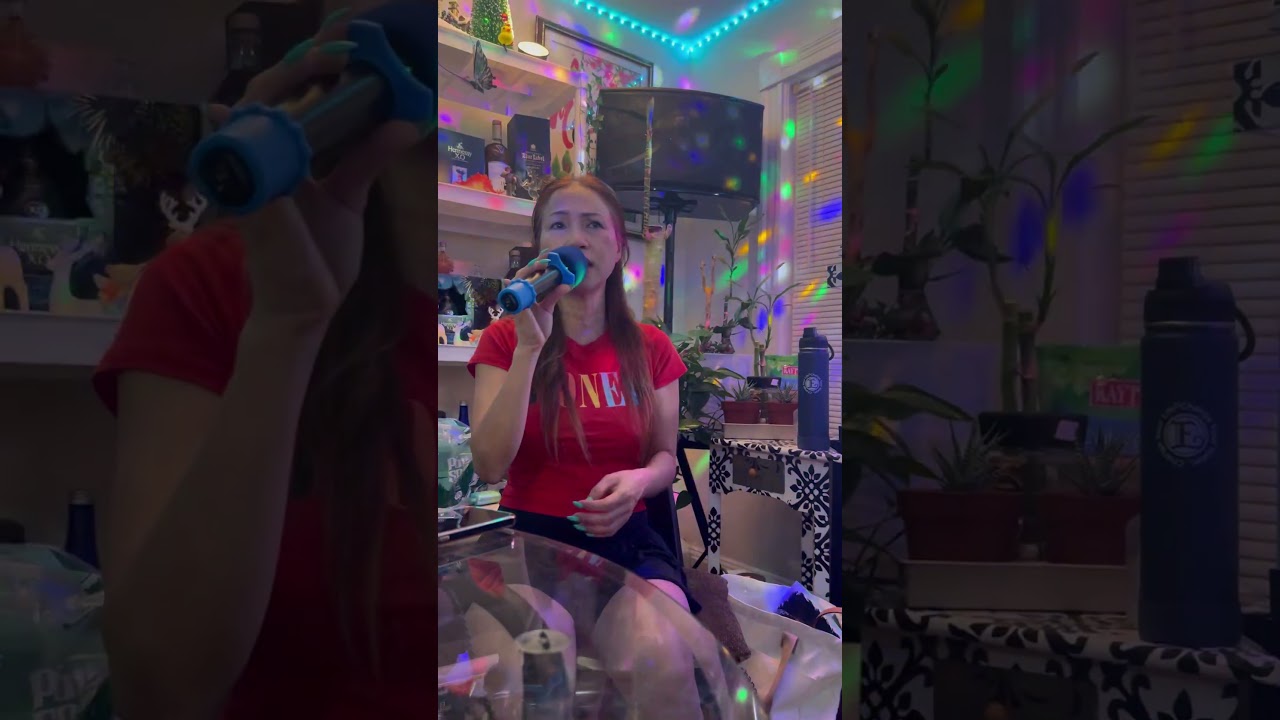 G&aacute;nh Mẹ Remix.... #karaokehay #nhactretiktok