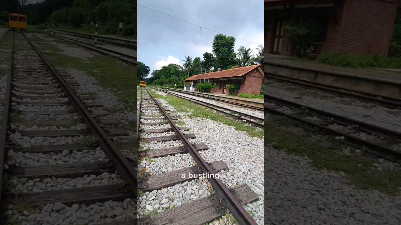 Lost in the beauty and history of Singapore's Rail Corridor 🌿🚂 #RailwayWonders #SingaporeAdventures
