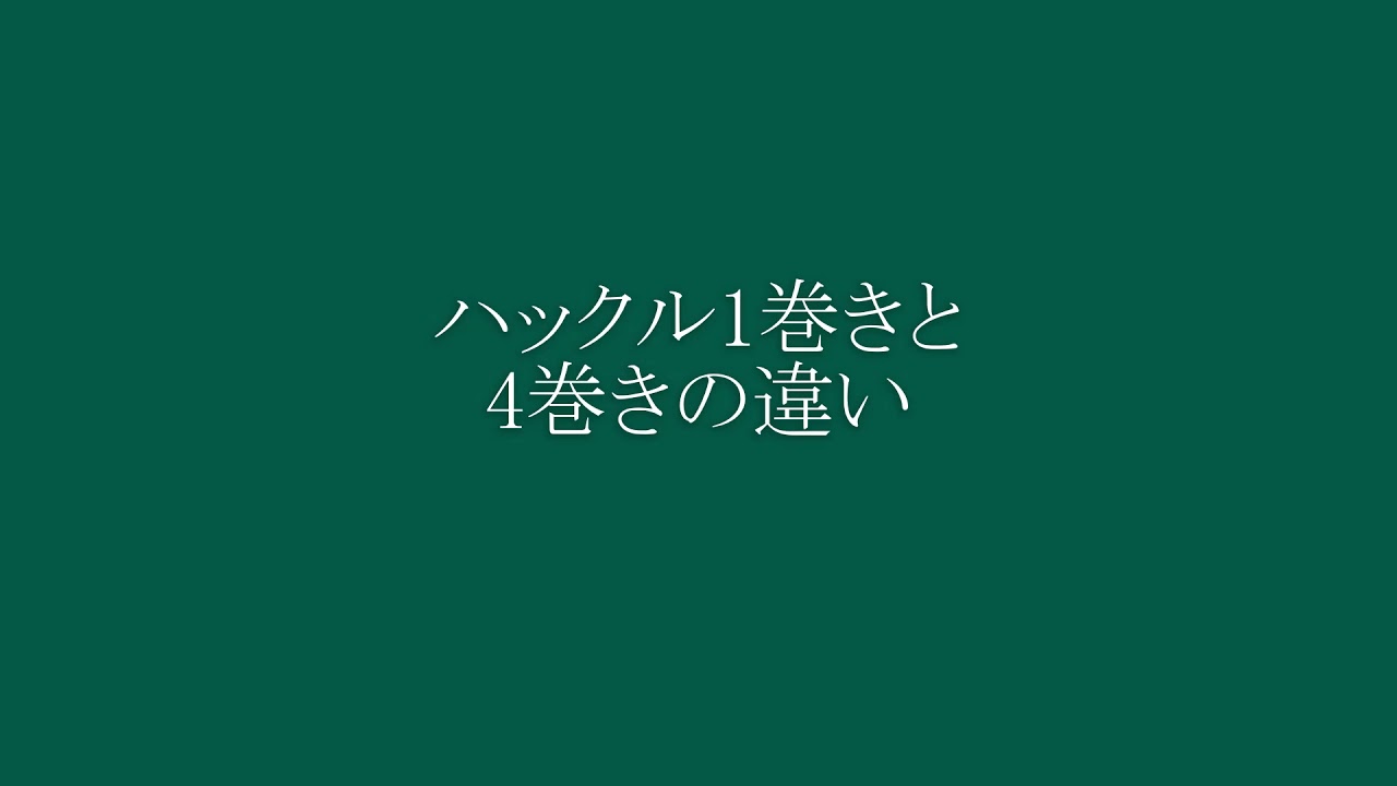テンカラ毛バリのハックルの役割