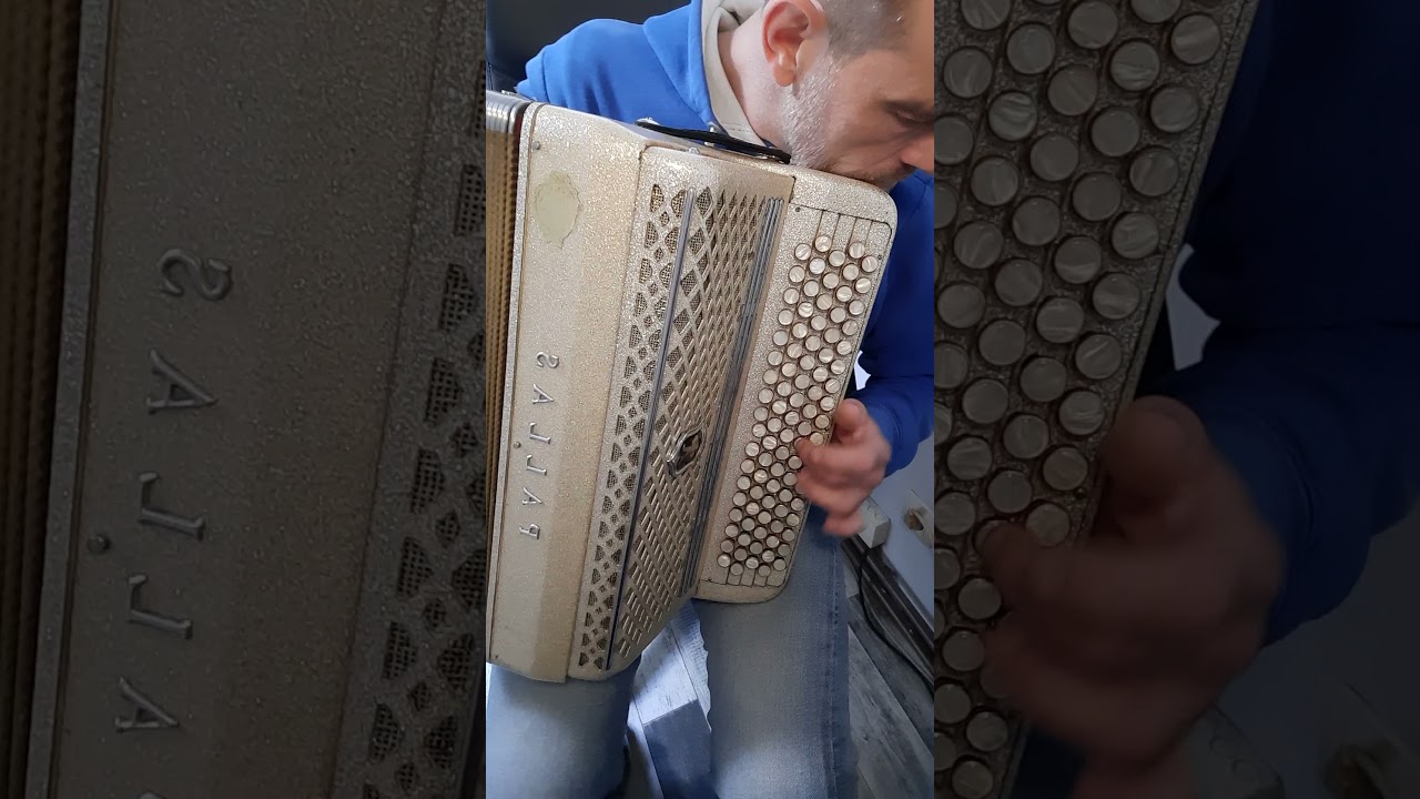 bossa Dorado de Dorado Schmitt accordeon