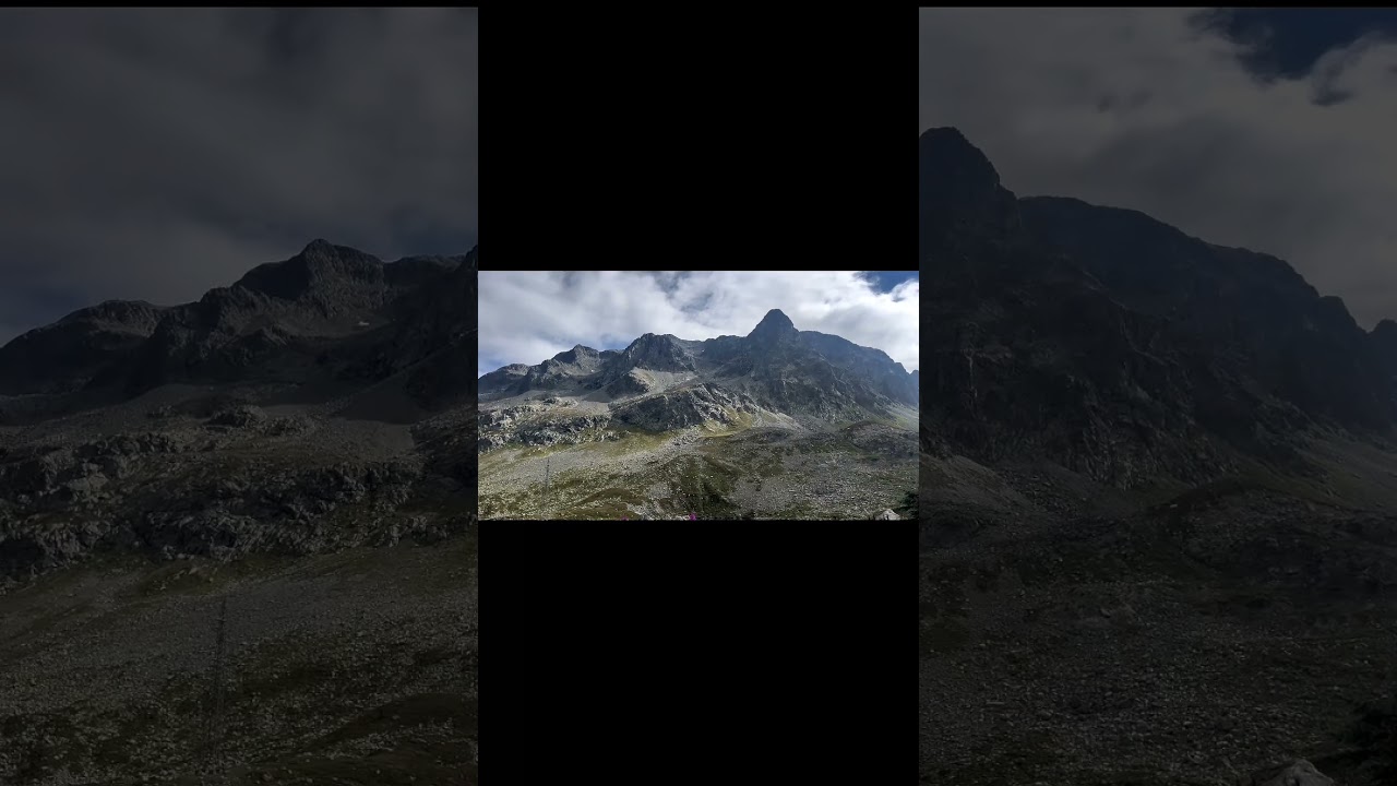 🏔️ My Office for the Day: Stunning Views from the Swiss Alps 🌄 | Back to Basics Bushcrafters