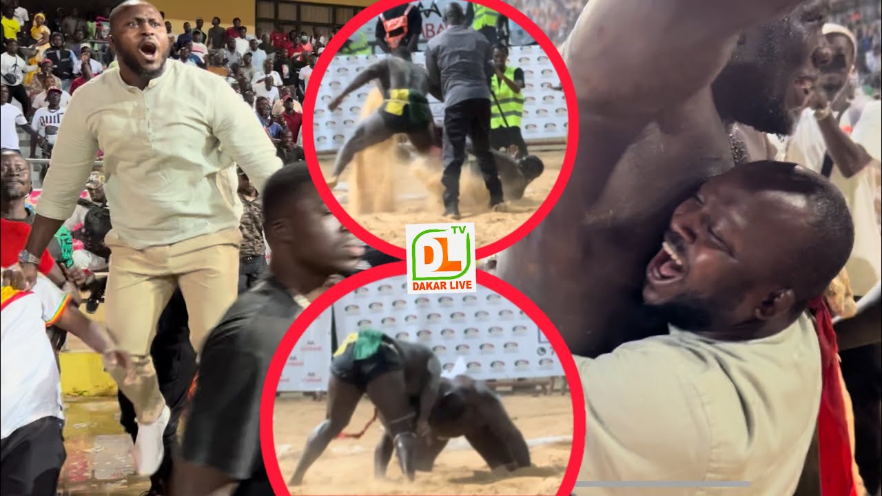 Cummikay Franc contre Bombardier : Modou Lo sur agité immaîtrisable après la victoire de Franc