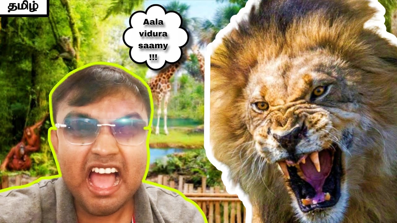 டப்லின் Zooல தமிழ் பையன் | Lion Encounter !!!| Tamil | Part - 3 | Ireland Tamil Vlog | 
