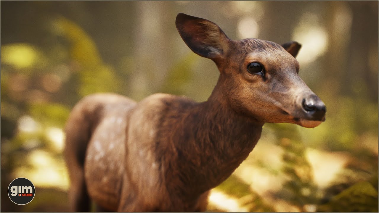 Elk young animation preview