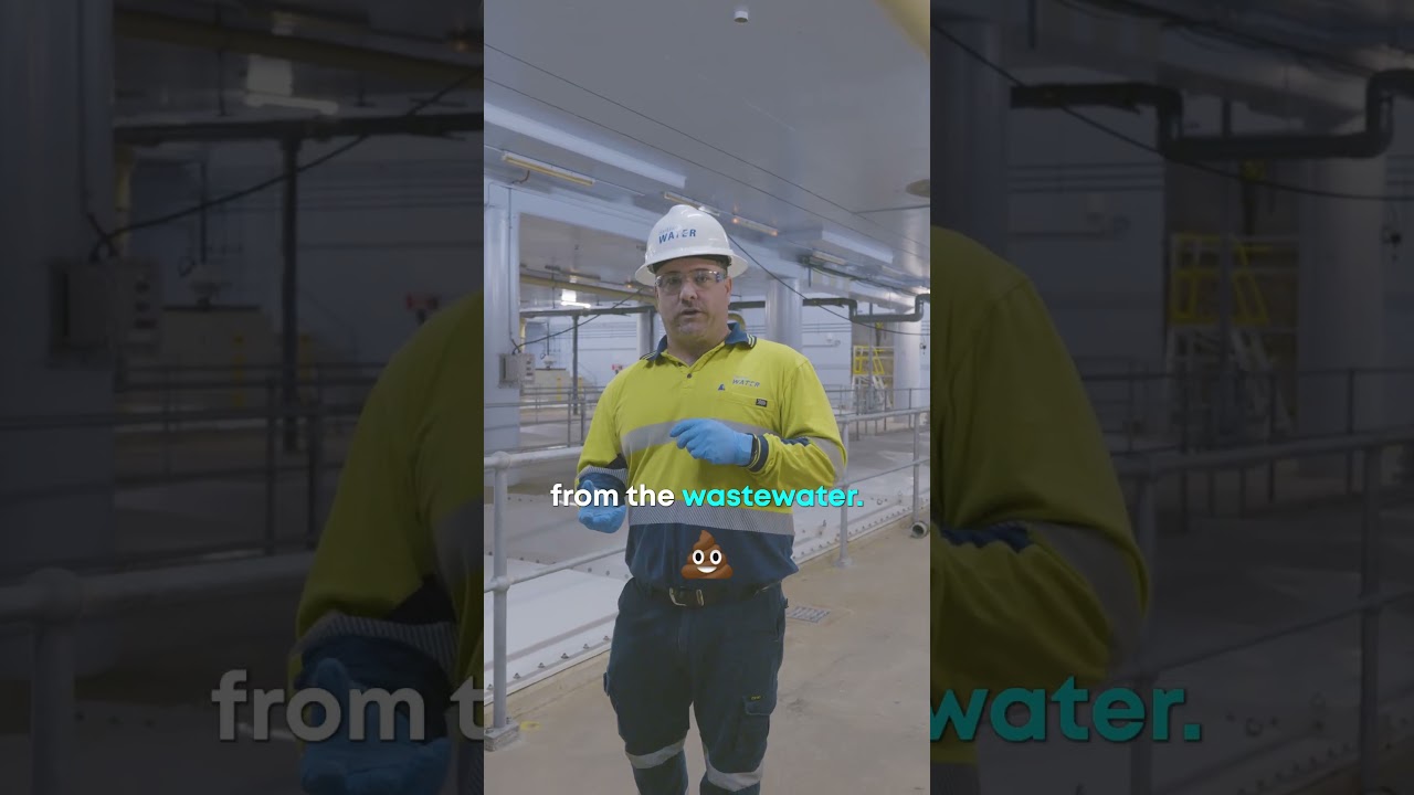 Do you know what happens when you flush the toilet?