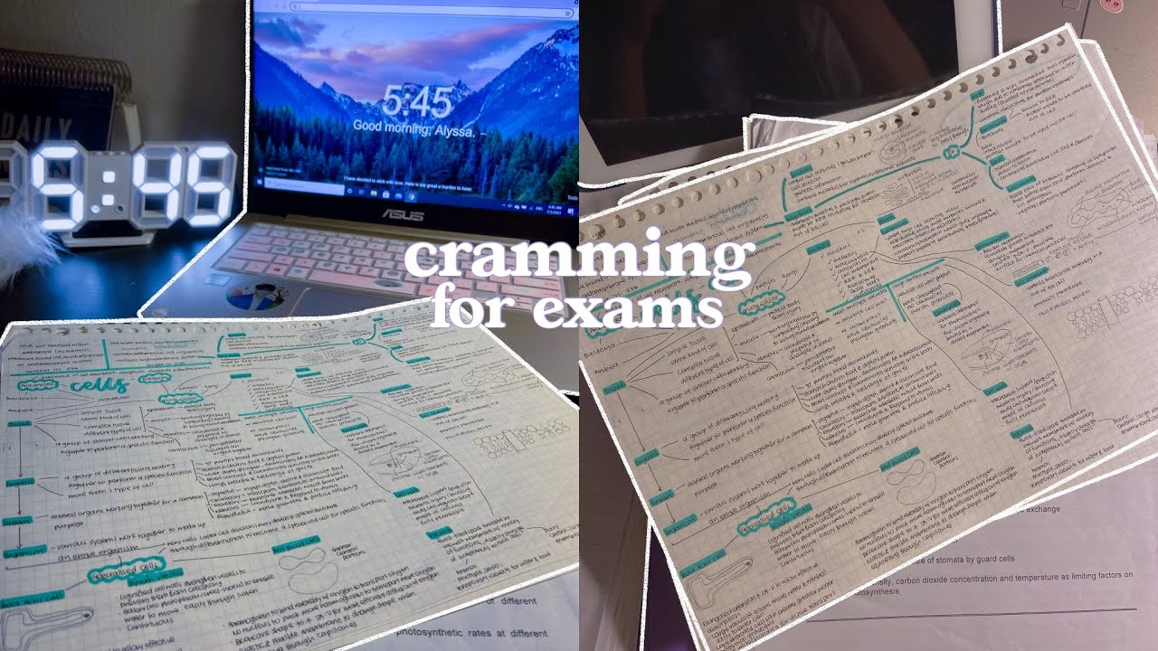 exam week study motivation 🌥🍫 : cramming for exams, productive study vlog singapore