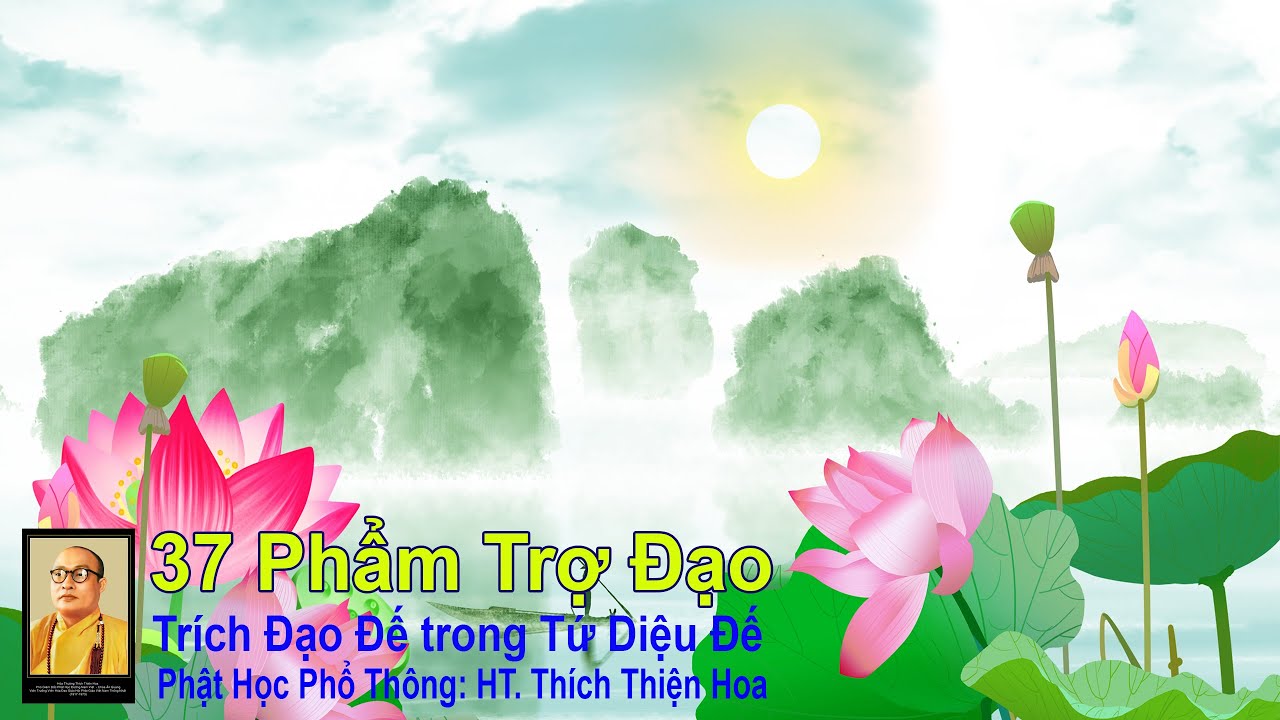 37 Phẩm Trợ Đạo | Đạo Đế - Phật Học Phổ Thông  | HT  Thích Thiện Hoa