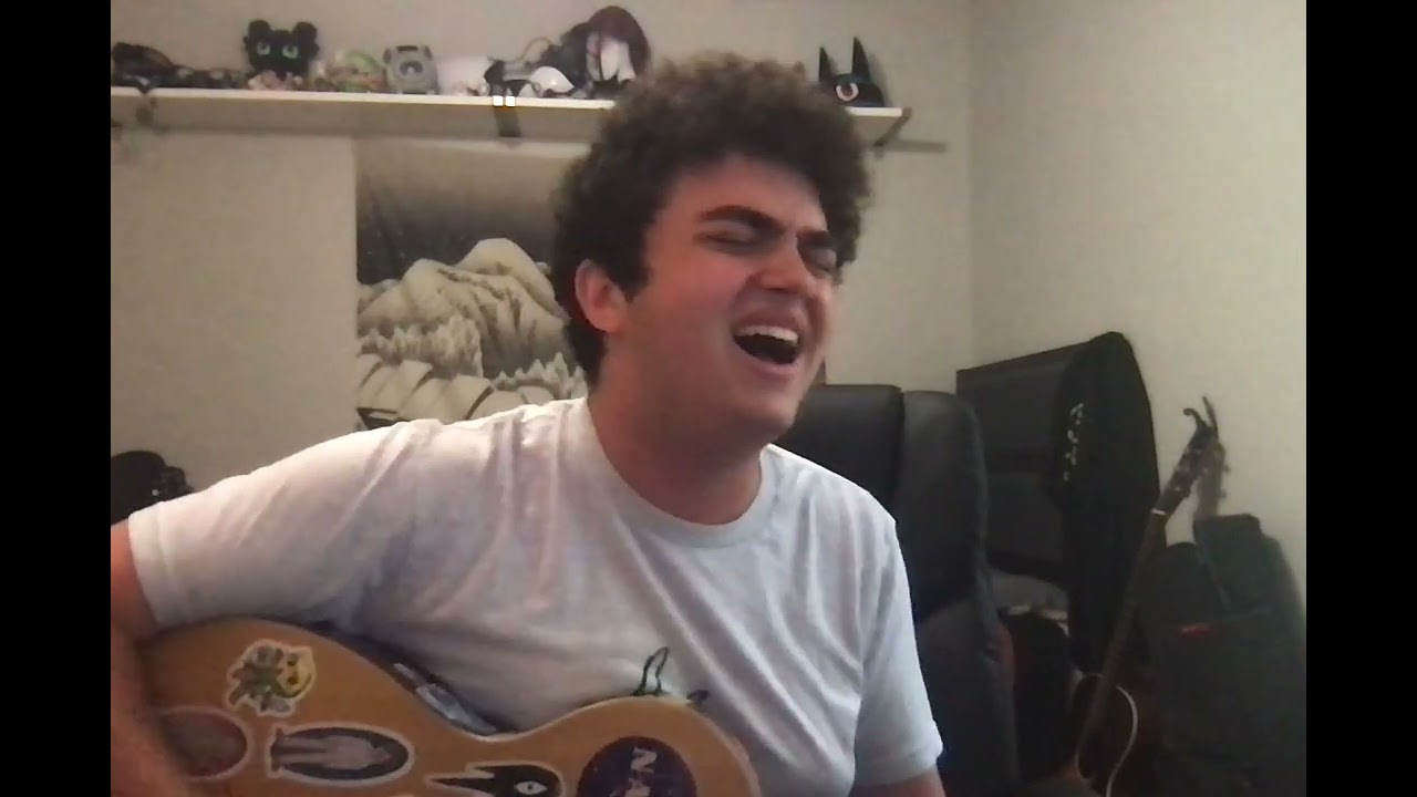 local white boy covers all of car seat headrest's twin fantasy with his acoustic guitar