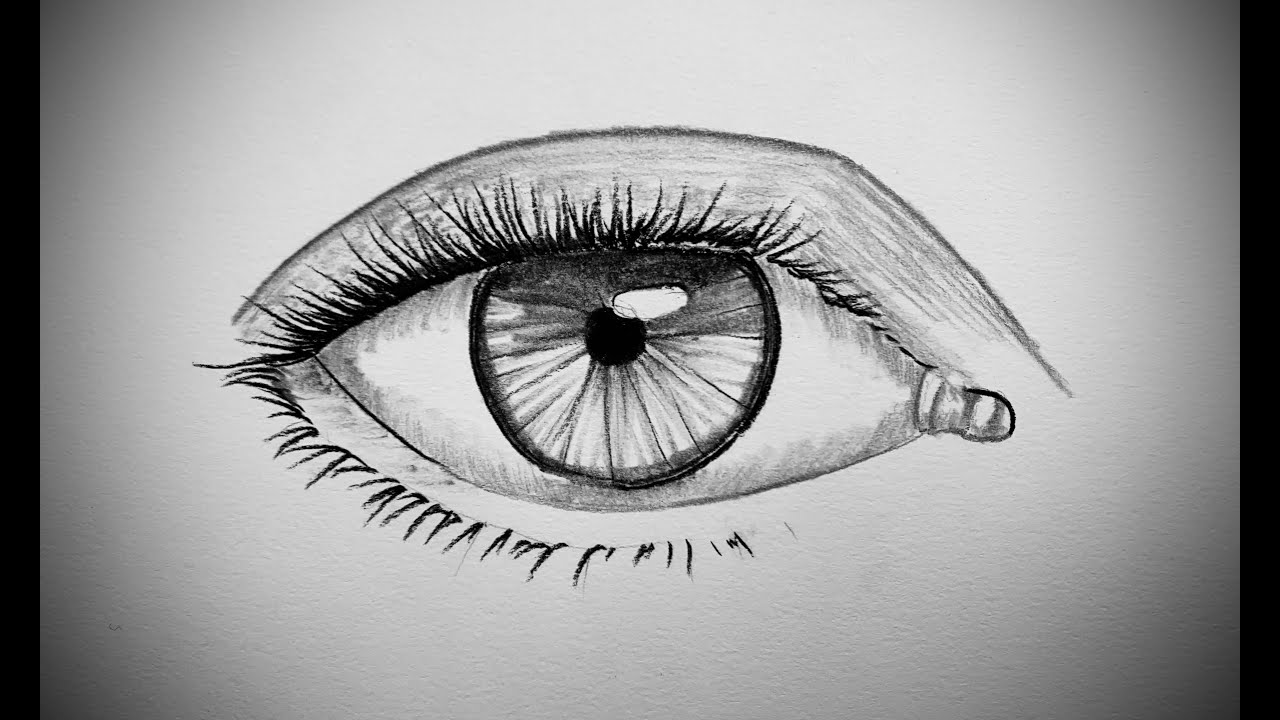 How to use Charcoal Pencils | For Beginners