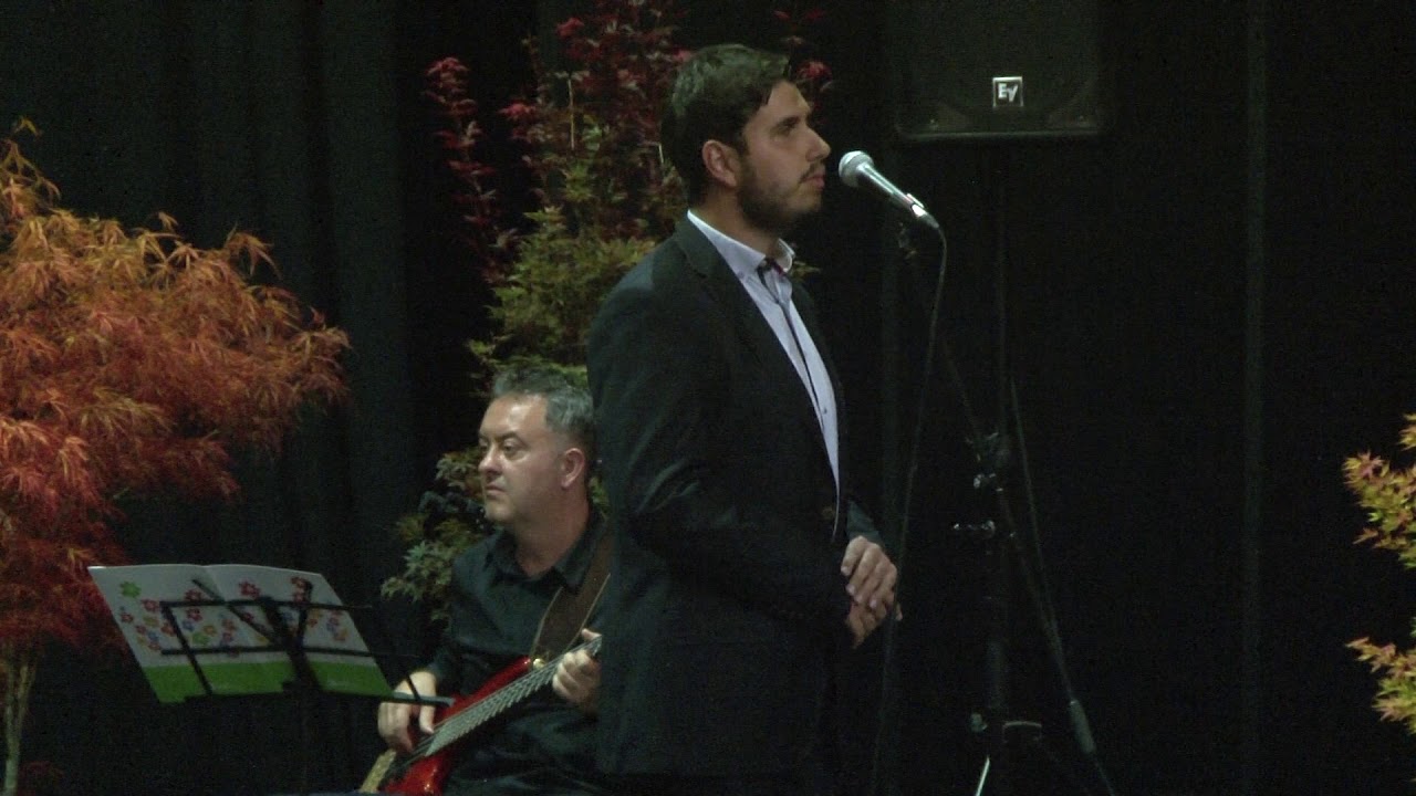 Pavao Anić U baštici ruža vene