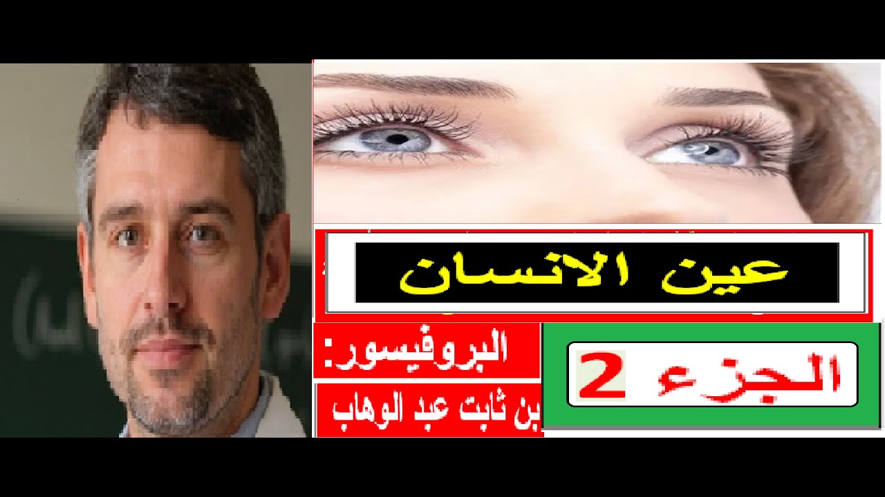 محور البصريات: فيزيولوجيا العين البشرية لطلبة علوم الطبيعة والحياة (الجزء 2)