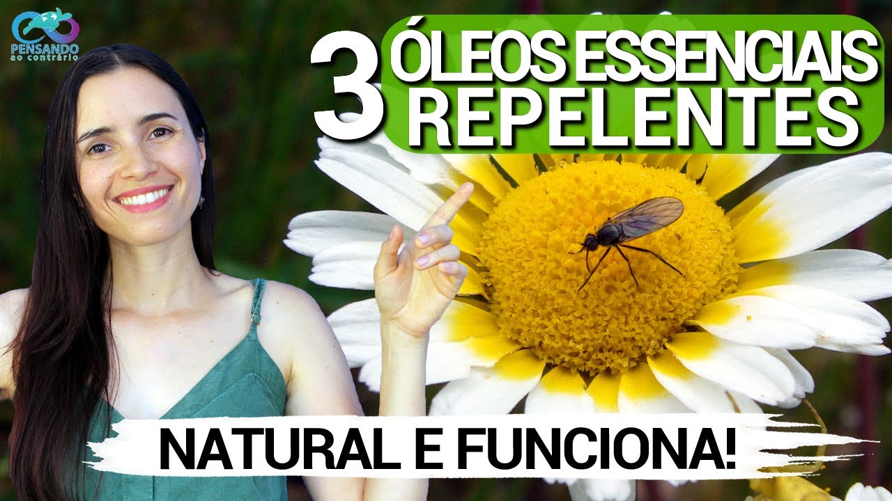 3 &oacute;leos essenciais QUE REPELEM INSETOS DE VERDADE | Repelente natural Baseado em ci&ecirc;ncia