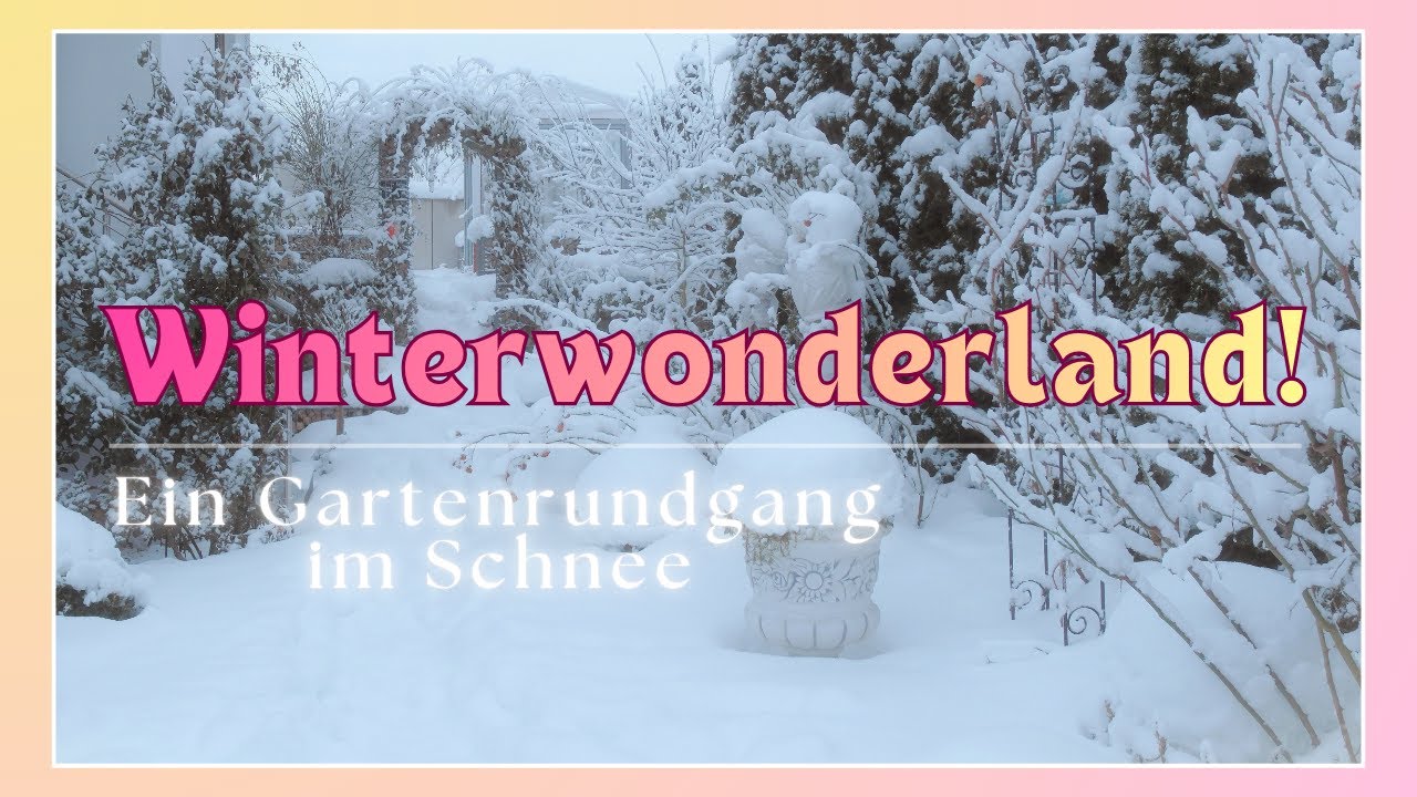 Weiße Pracht im Rosengarten
