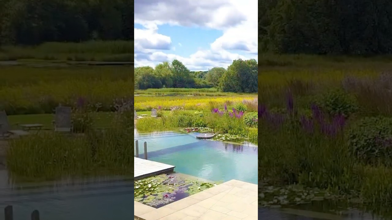 This Natural Pool in Lincolnshire, England, is an absolute paradise 🌿💦 #naturalpool #swimmingpond