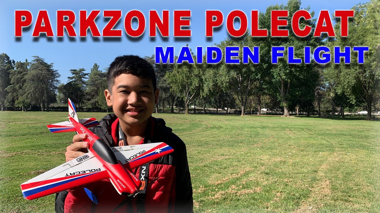 No AS3X. No SAFE SELECT. No Problem! - 2011 PARKZONE UM POLECAT