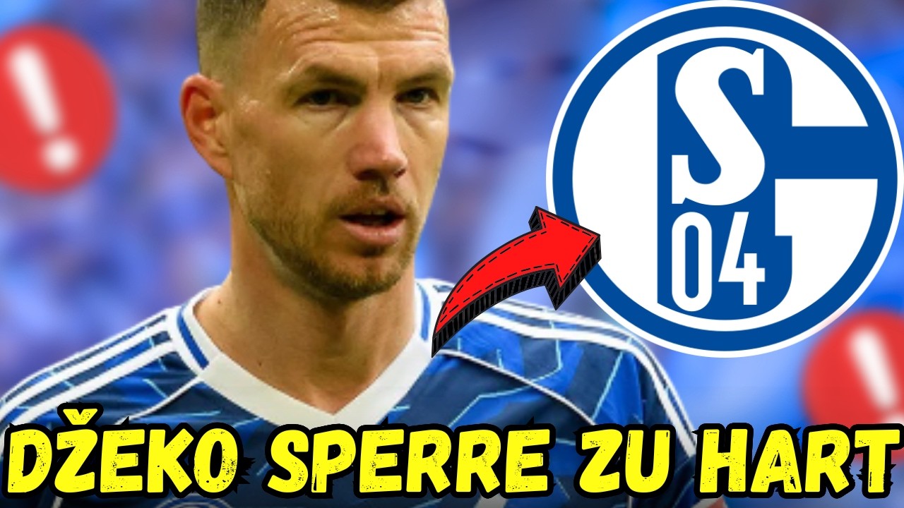 Edin Džeko gesperrt &ndash; diese Entscheidung sorgt beim Schalke f&uuml;r Diskussionen - Meine Analyse