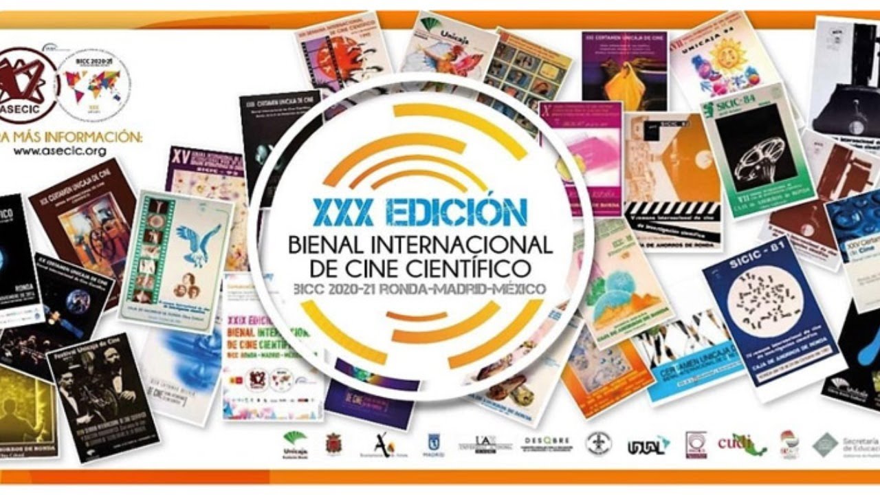4. Unión de Universidades de América Latina y el Caribe  |  UDUAL