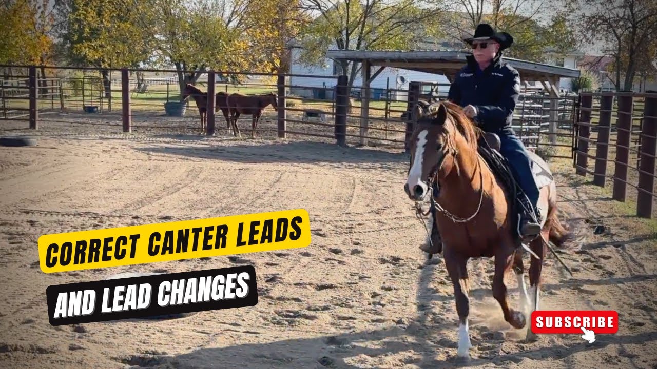 TEACH YOUR HORSE LEAD CHANGES AND CORRECT CANTER LEADS