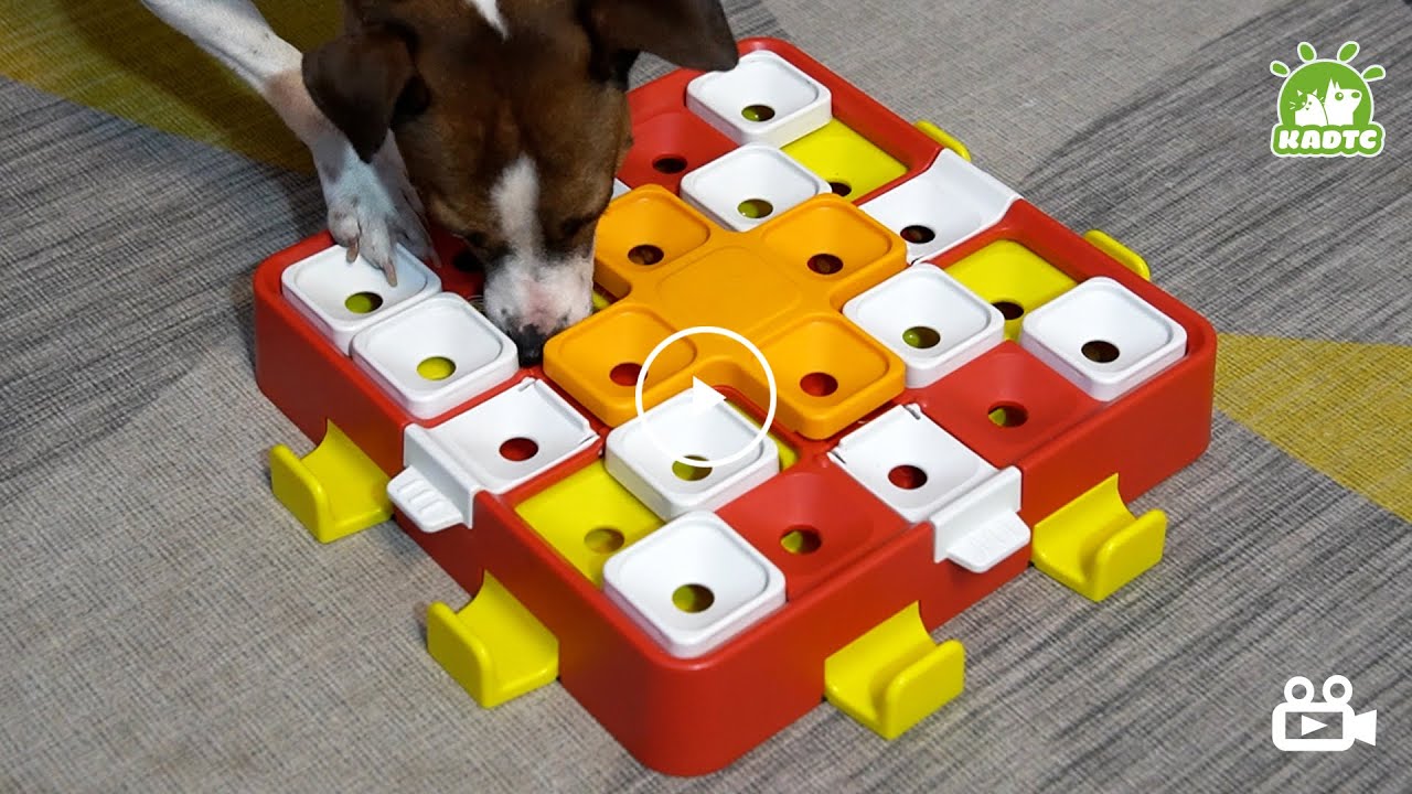 KADTC Rubik's Cube Dog Puzzle Toy Level 3 in 1 Dogs Brain Stimulating ToyFood  Feeder Dispenser