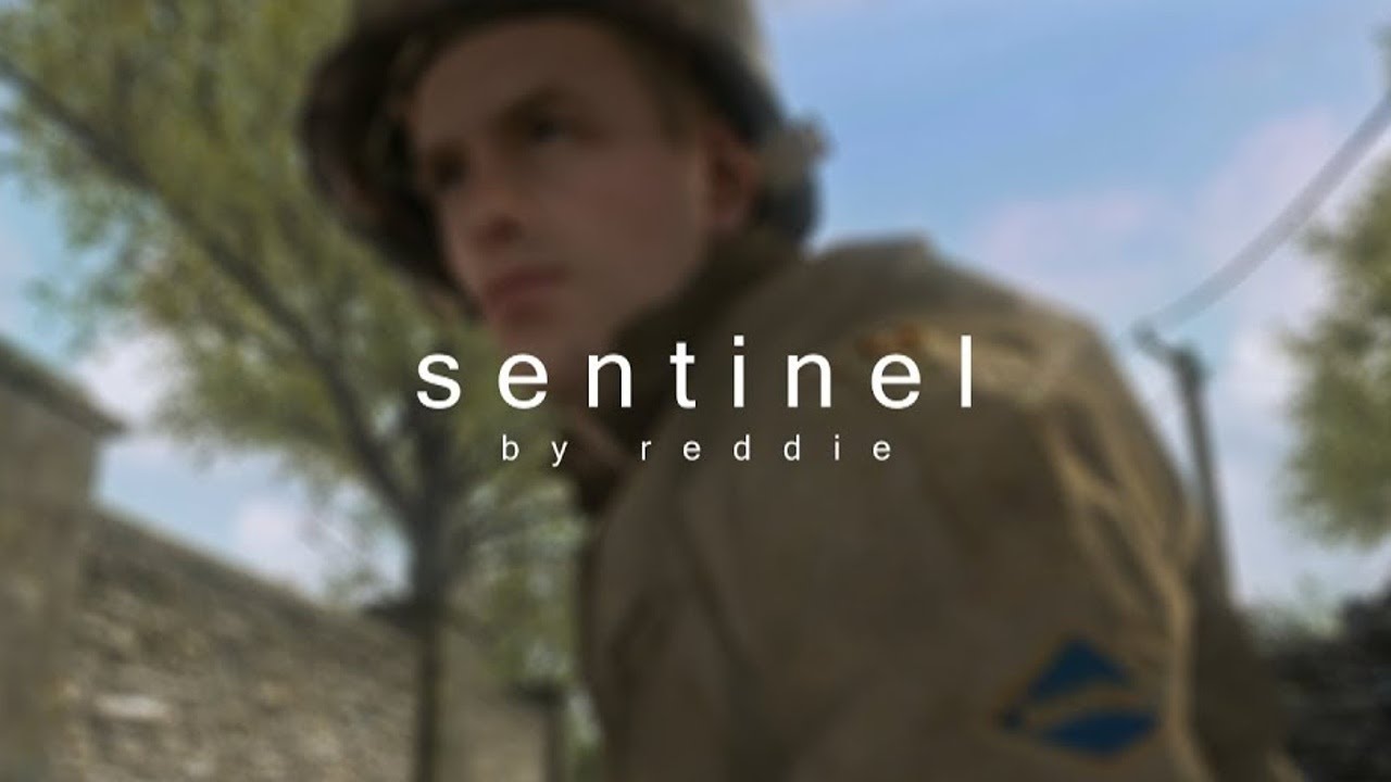 sentinel