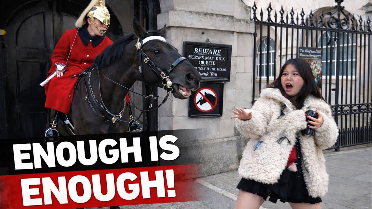 FINALLY! Guard Horse Had ENOUGH… Tourist Freaks Out 