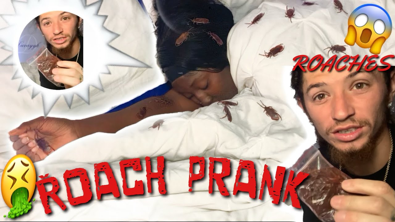 Putting COCKROACHES on my WIFE while SLEEPING to get her REACTION PRANK *HILARIOUS ￼