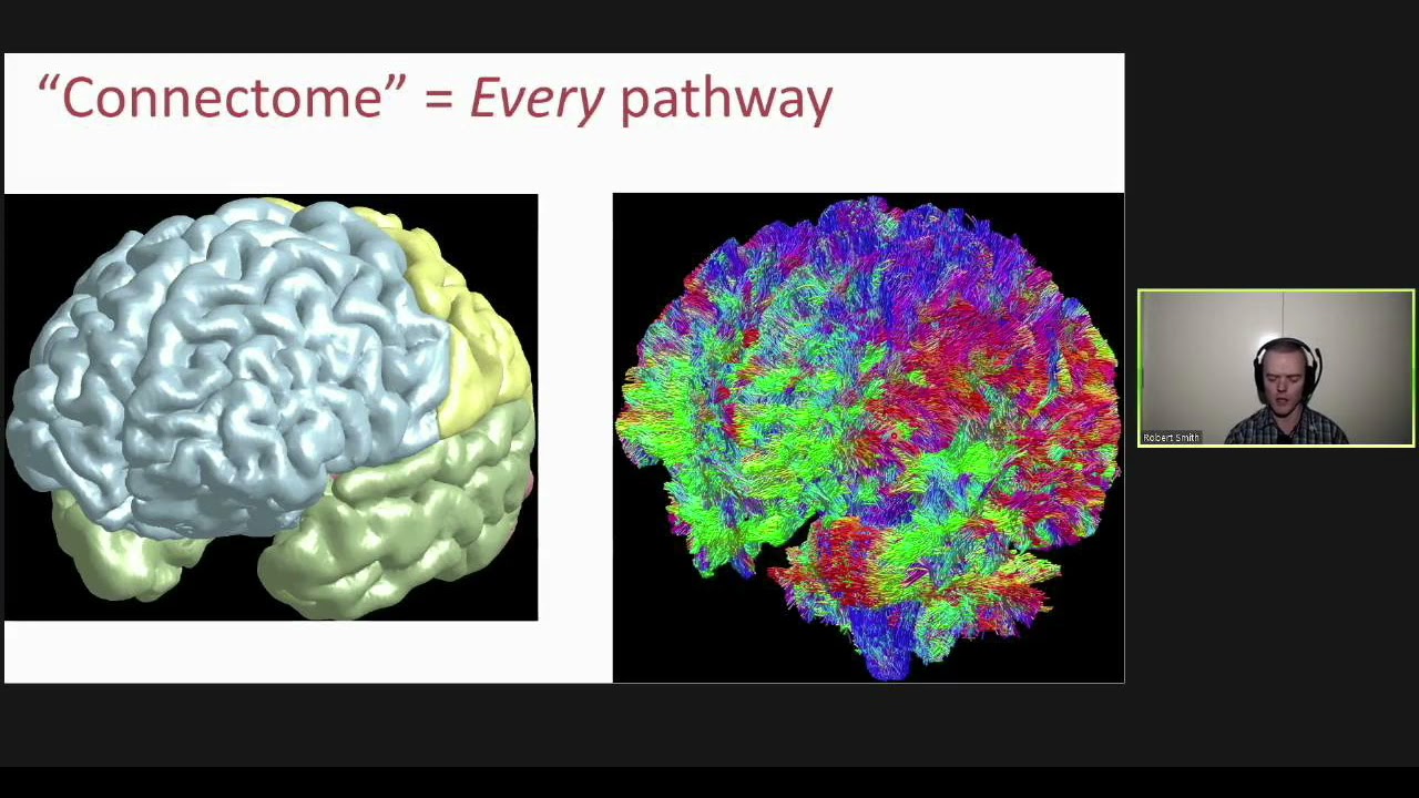 OHBM2020: Network Neuroscience 2