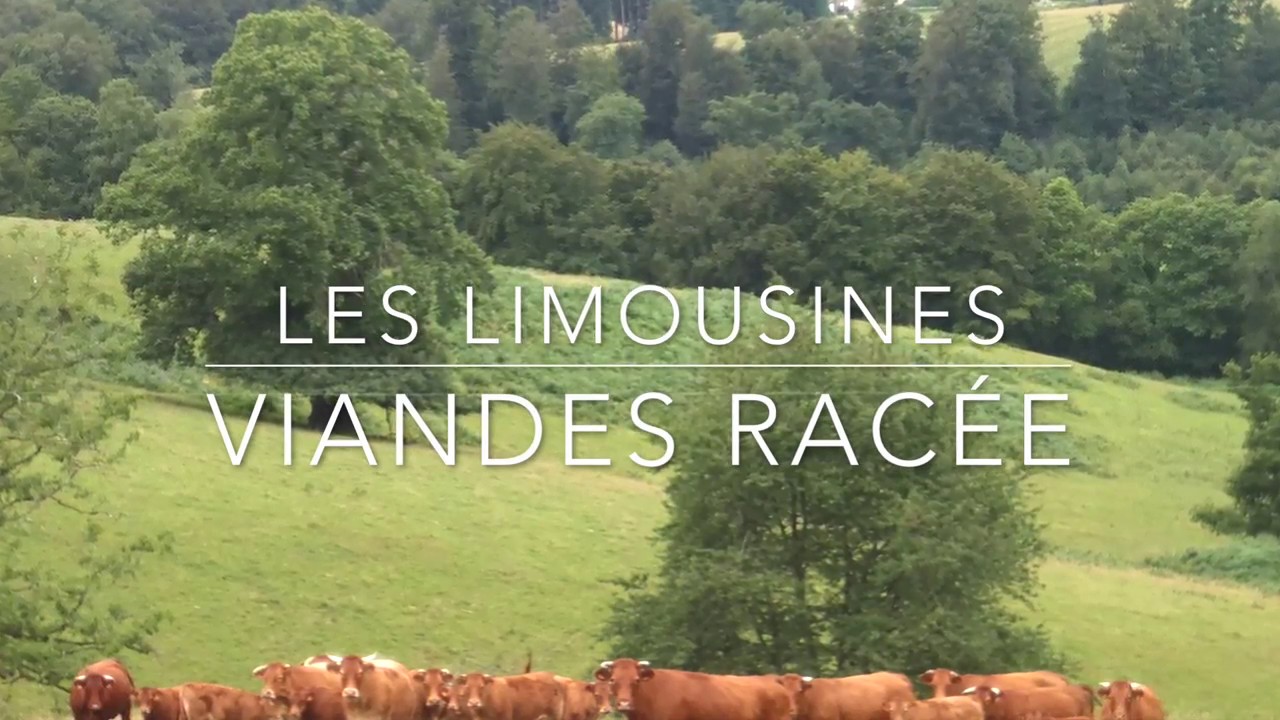 Boucherie bio  en ligne,  en direct du producteur, la  ferme biologique